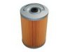JAC 614080739A Fuel filter